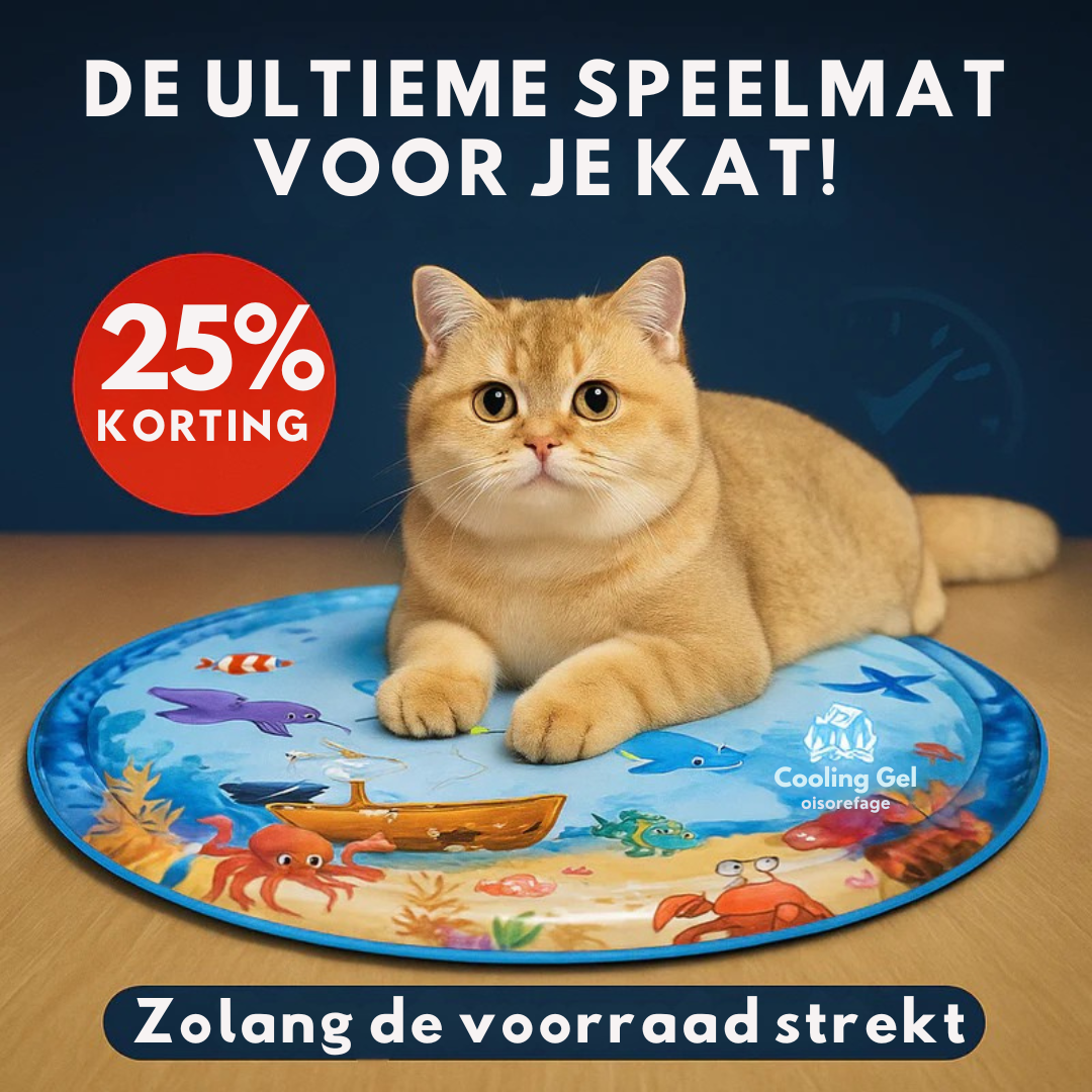 PawChill De ultieme speelmat voor je kat