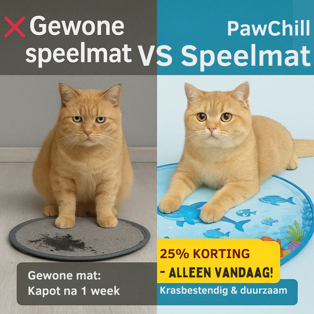 PawChill De ultieme speelmat voor je kat
