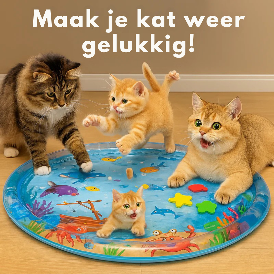 PawChill De ultieme speelmat voor je kat