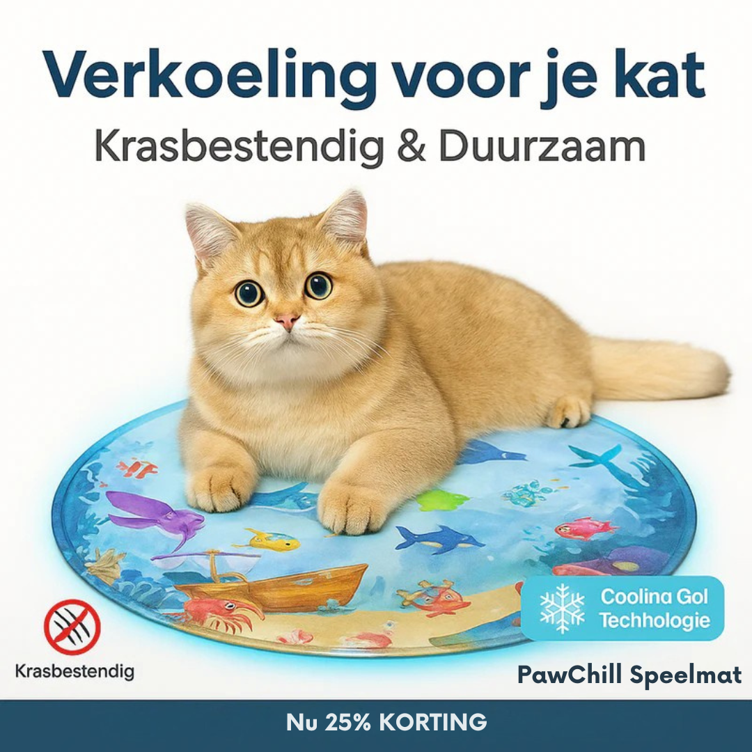 PawChill De ultieme speelmat voor je kat