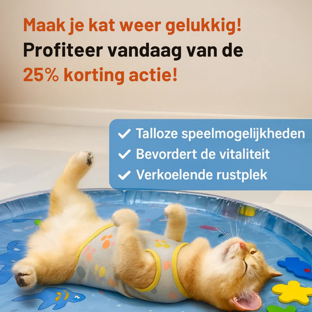 PawChill De ultieme speelmat voor je kat