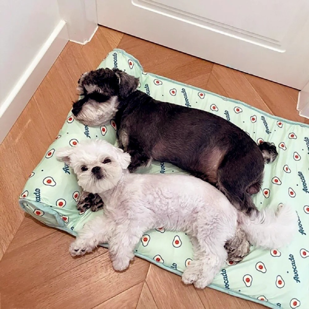 FurWave Zomer Dierenmatras